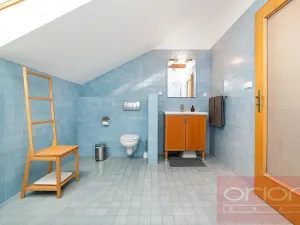 Pronájem bytu 4+kk, Praha - Vinohrady, Havlíčkovy sady, 170 m2