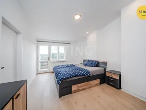 Pronájem bytu 2+kk, Brušperk, 84 m2