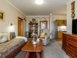 Prodej bytu 2+kk, České Budějovice - České Budějovice 3, U Trojice, 54 m2