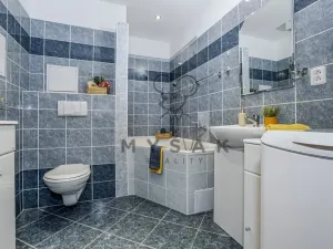 Prodej bytu 2+kk, České Budějovice - České Budějovice 3, U Trojice, 54 m2