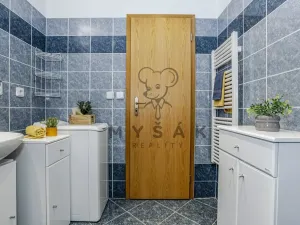 Prodej bytu 2+kk, České Budějovice - České Budějovice 3, U Trojice, 54 m2