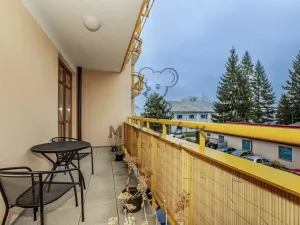 Prodej bytu 2+kk, České Budějovice - České Budějovice 3, U Trojice, 54 m2