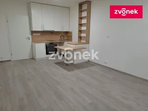 Pronájem bytu 1+kk, Zlín, Nad Stráněmi, 34 m2