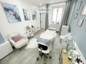 Pronájem kanceláře, Plzeň - Severní Předměstí, Pod Všemi svatými, 40 m2