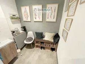 Pronájem kanceláře, Plzeň - Severní Předměstí, Pod Všemi svatými, 40 m2