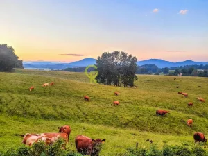 Prodej rodinného domu, Jablonné v Podještědí - Postřelná, 130 m2