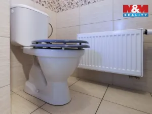 Prodej rodinného domu, Švihov - Jíno, 99 m2