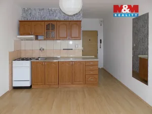 Pronájem bytu 1+1, Ústí nad Labem - Ústí nad Labem-centrum, Hornická, 35 m2