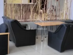 Pronájem bytu 1+kk, Praha - Zbraslav, K výtopně, 20 m2