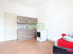 Pronájem bytu 1+1, Brno, Jugoslávská, 57 m2