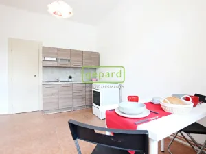 Pronájem bytu 1+1, Brno, Jugoslávská, 57 m2