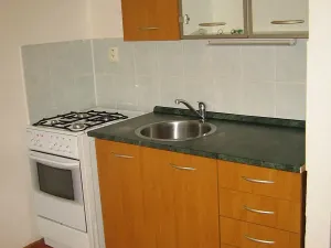 Pronájem bytu 1+1, Děčín, Hrnčířská, 34 m2