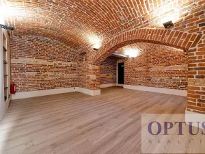 Pronájem bytu 6+kk a větší, Praha - Staré Město, Dušní, 218 m2