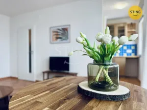 Prodej bytu 1+kk, Pardubice, Grusova, 39 m2