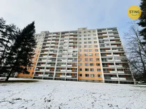Prodej bytu 1+kk, Pardubice, Grusova, 39 m2