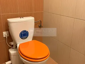 Pronájem bytu 2+kk, Praha, Na Březince, 64 m2