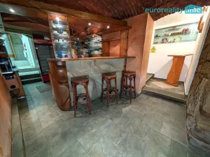 Prodej ubytování, Plzeň, Lindauerova, 800 m2