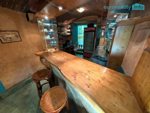 Prodej ubytování, Plzeň, Lindauerova, 700 m2