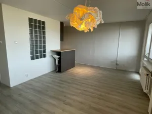 Pronájem bytu 1+kk, Most, Pod Šibeníkem, 32 m2