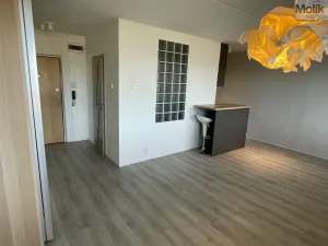 Pronájem bytu 1+kk, Most, Pod Šibeníkem, 32 m2