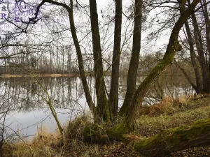 Prodej rybníku, Křivsoudov, 26509 m2