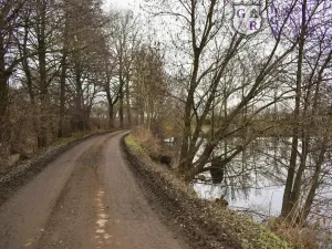 Prodej rybníku, Křivsoudov, 26509 m2