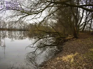 Prodej rybníku, Křivsoudov, 26509 m2