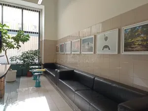 Pronájem kanceláře, Praha - Nové Město, Opletalova, 60 m2