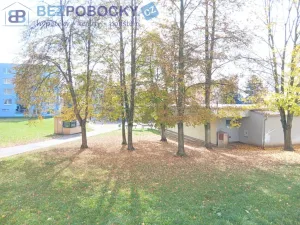 Prodej bytu 1+1, Havlíčkův Brod, Žižkov II, 35 m2