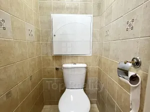 Pronájem bytu 2+1, Chodov, Revoluční, 56 m2