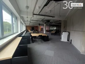 Pronájem kanceláře, Ostrava, 303 m2