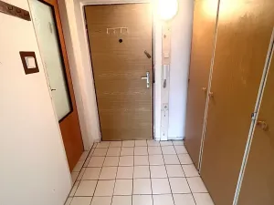 Prodej bytu 1+kk, Plzeň, Hodonínská, 33 m2