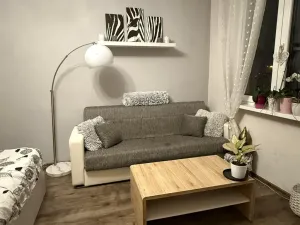 Pronájem bytu 1+1, Děčín - Děčín VI-Letná, 43 m2