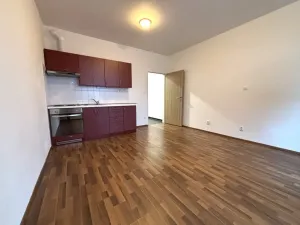 Pronájem bytu 1+kk, Plzeň - Jižní Předměstí, Technická, 27 m2