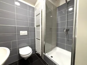 Pronájem bytu 1+kk, Plzeň - Jižní Předměstí, Technická, 27 m2