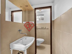 Prodej chaty, Ústí nad Orlicí, 32 m2