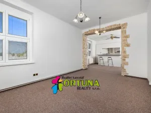 Prodej bytu 2+1, České Budějovice - České Budějovice 3, Fr. Hrubína, 81 m2