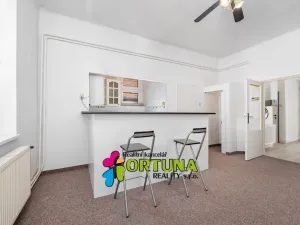 Prodej bytu 2+1, České Budějovice - České Budějovice 3, Fr. Hrubína, 81 m2