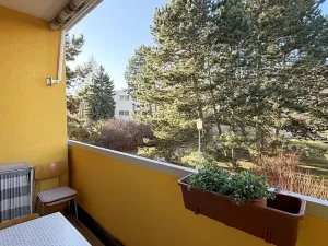 Prodej bytu 2+1, Brno, Chopinova, 58 m2