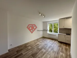 Pronájem bytu 1+kk, Ústí nad Orlicí, Špindlerova, 22 m2