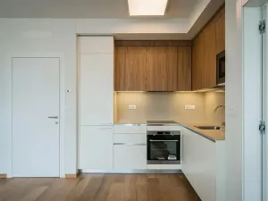 Pronájem bytu 2+kk, Praha - Smíchov, Holečkova, 71 m2