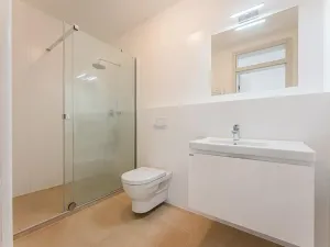 Pronájem bytu 2+kk, Praha - Vinohrady, Balbínova, 95 m2