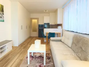 Pronájem bytu 1+kk, Písek, Pražská, 32 m2