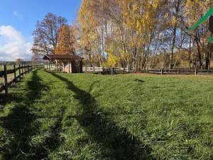 Prodej pozemku, Bor, 1427 m2