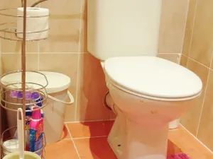 Pronájem bytu 2+kk, Hradec Králové, Selicharova, 49 m2