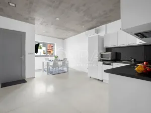 Prodej vícegeneračního domu, Brno, Chaloupky, 240 m2