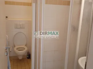 Pronájem bytu 1+1, Plzeň - Skvrňany, Malesická, 39 m2