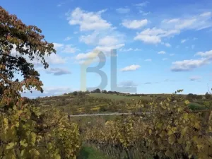 Prodej sadu/vinice, Strážnice, 2284 m2