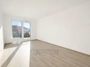 Pronájem bytu 1+kk, České Budějovice, Na Zlaté stoce, 28 m2