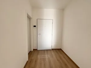 Pronájem bytu 1+kk, České Budějovice, Na Zlaté stoce, 28 m2